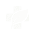 Functional Medicine Icon